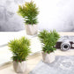 3 Pack | 8" Ceramic Planter Pot and Artificial Crassula Succulent Plants