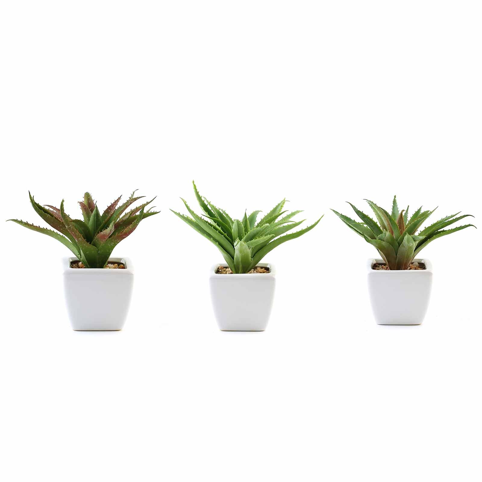 3 Pack | 5inches Ceramic Planter Pot & Artificial Spot Aloe Succulent Plant#whtbkgd