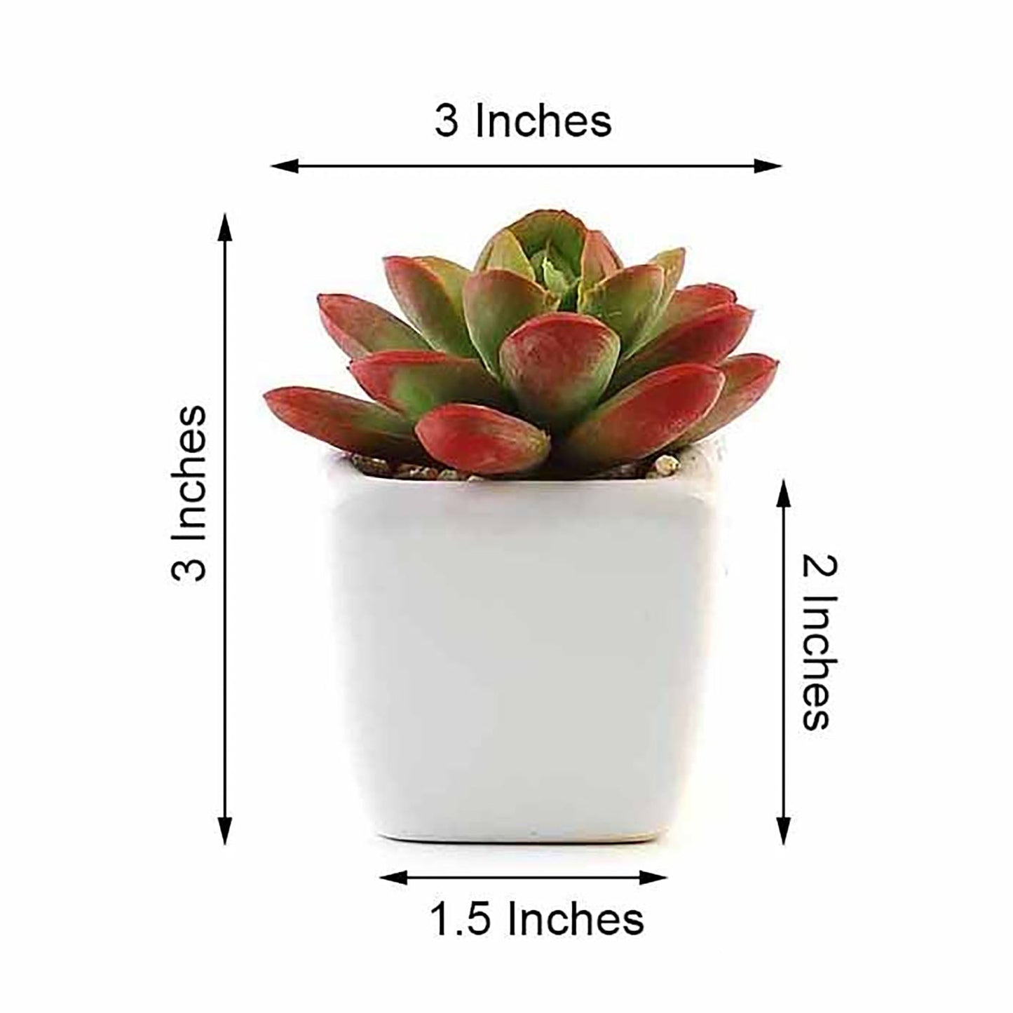 3 Pack | 3inches Ceramic Planter Pot & Artificial Echeveria Elegans Plants