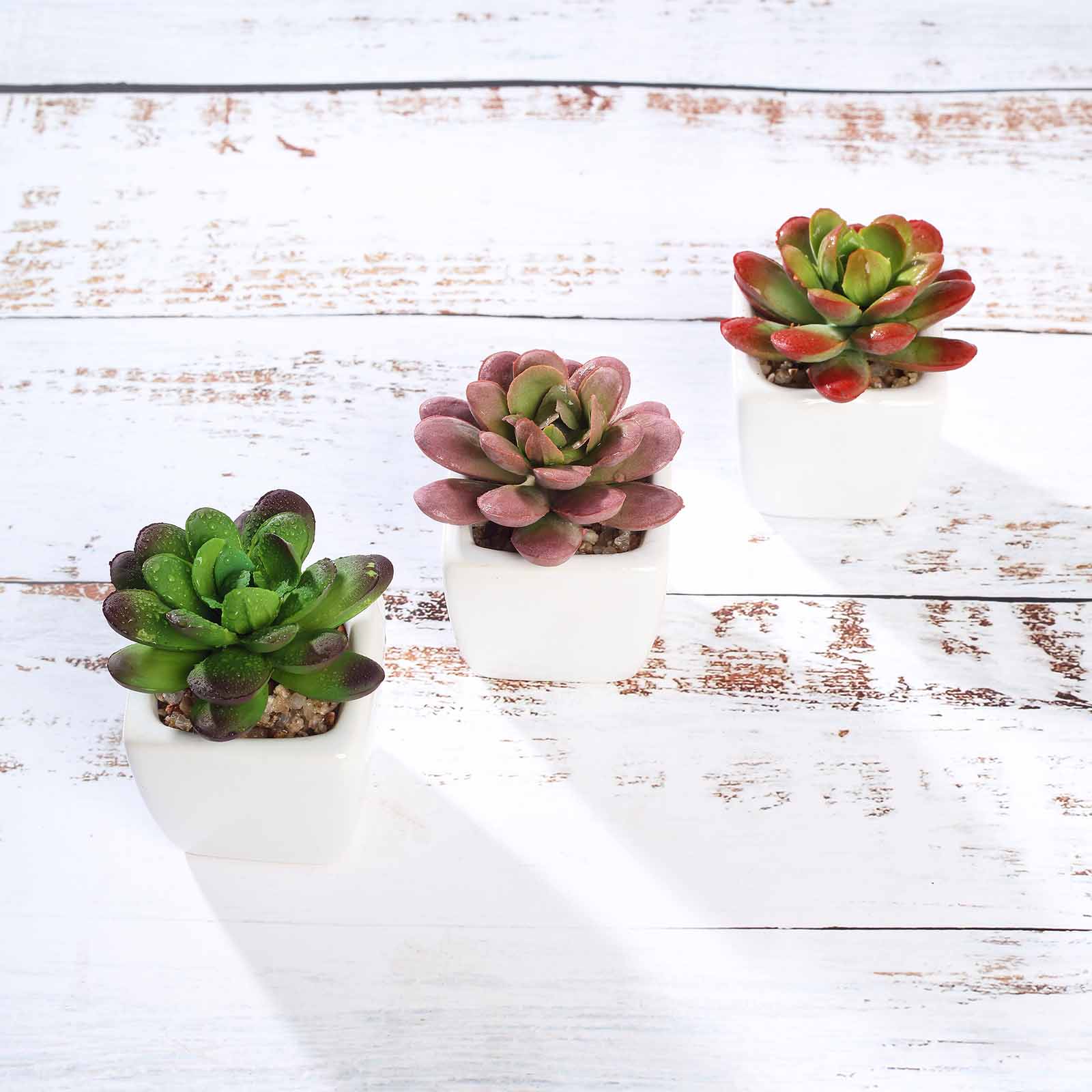 3 Pack | 3inches Ceramic Planter Pot & Artificial Echeveria Elegans Plants