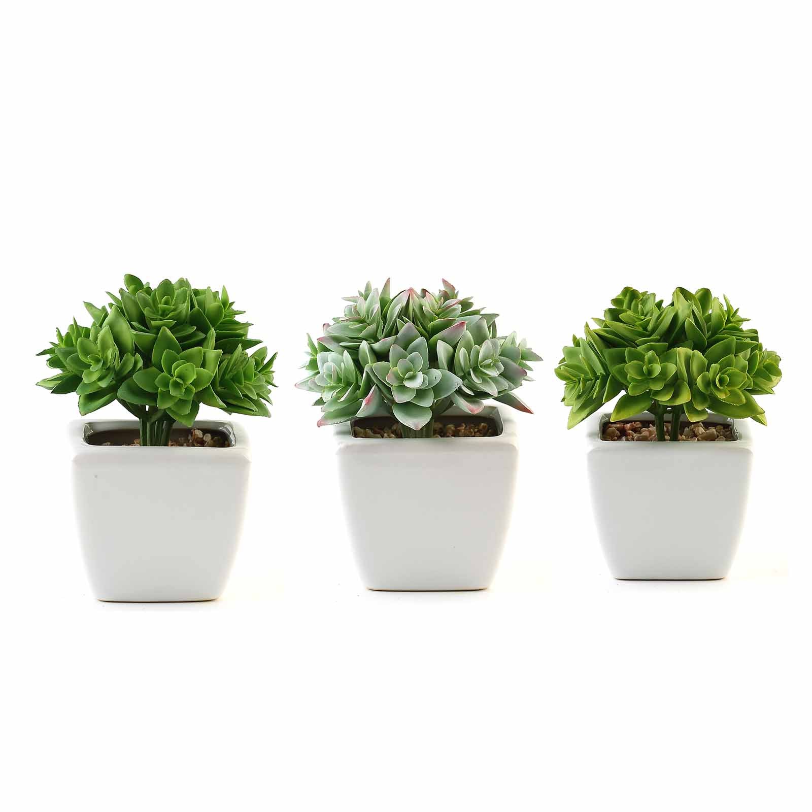 3 Pack Green Echeveria 4 Inch Artificial Plants Ceramic Planter Pot#whtbkgd