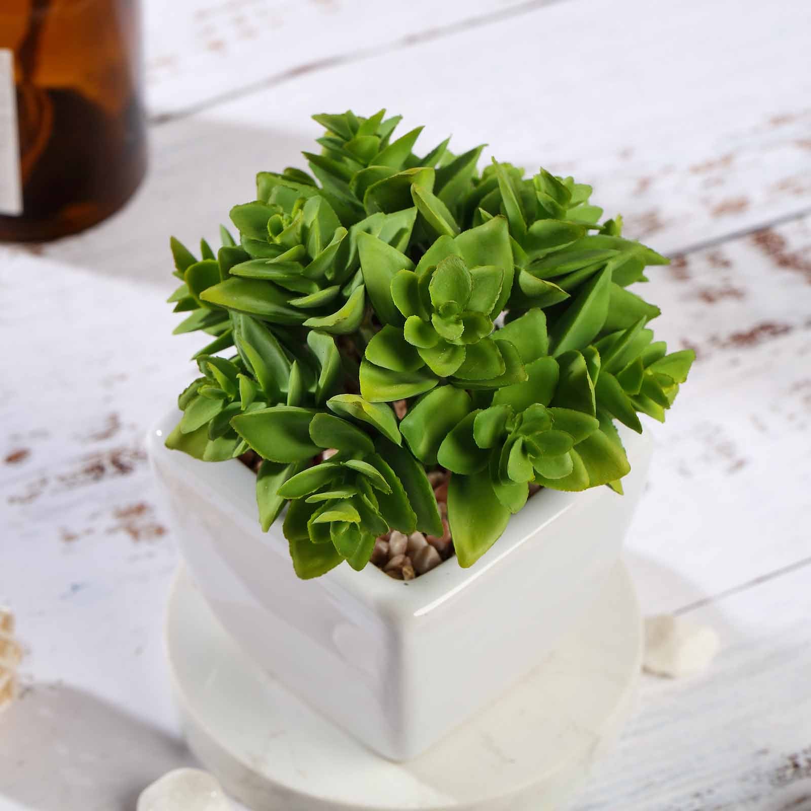 3 Pack Green Echeveria Artificial Plants Ceramic Planter Pot 4 Inch