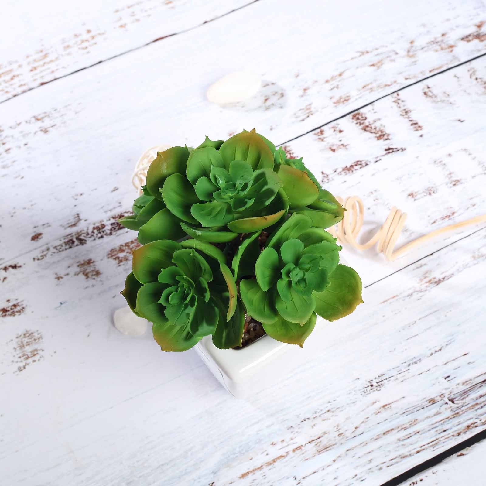 3 Pack | 5inches Ceramic Planter Pot & Artificial Echeveria Elegans Plants