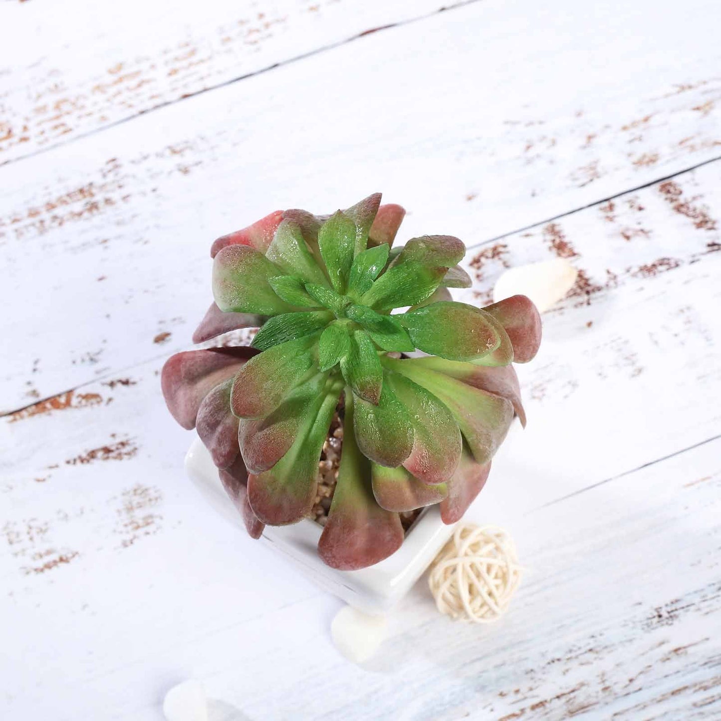 3 Pack | 5inches Ceramic Planter Pot & Artificial Elegans Succulent Plants