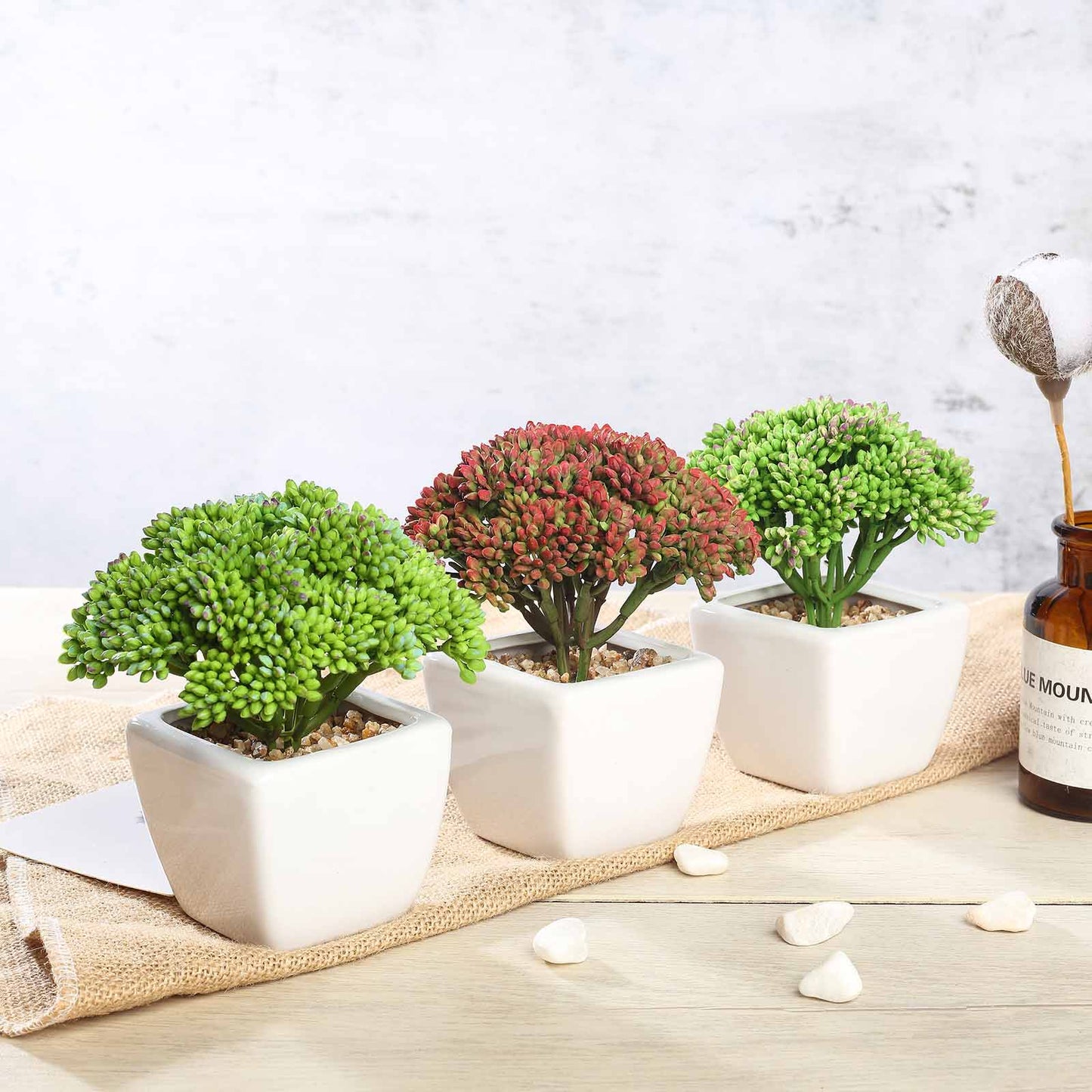 3 Pack | 6" Ceramic Planter Pot and Artificial Joy Sedum Succulent Plant