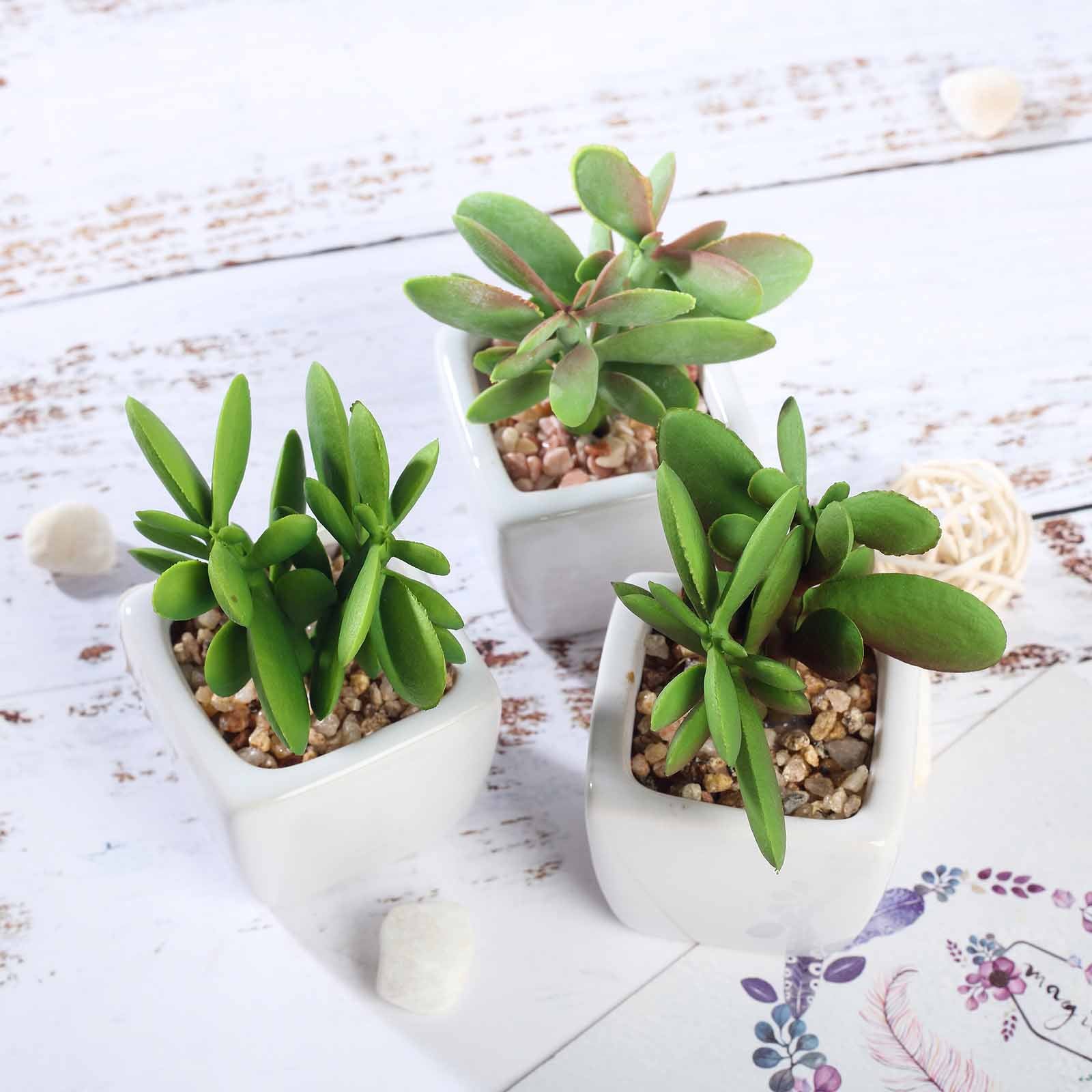 3 Pack Mini Jade Artificial Succulent Plant Ceramic Planter Pot 4 Inch
