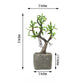 Gray concrete planter with artificial willow tree succulent plant.