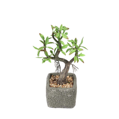 Gray concrete planter with artificial willow tree succulent plant.