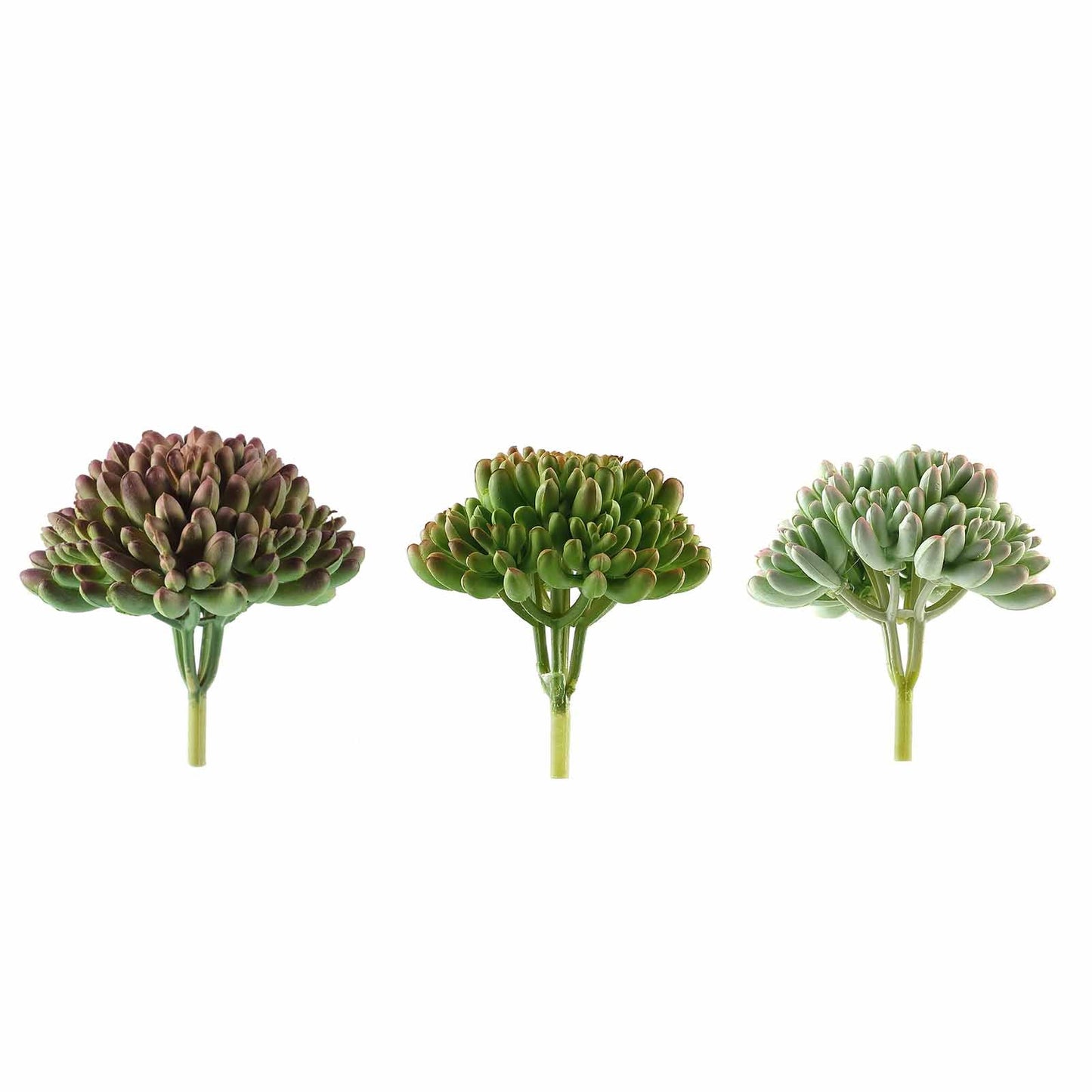 4" Artificial PVC Mini Jelly Bean Succulent Plants - Green and Purple Variants