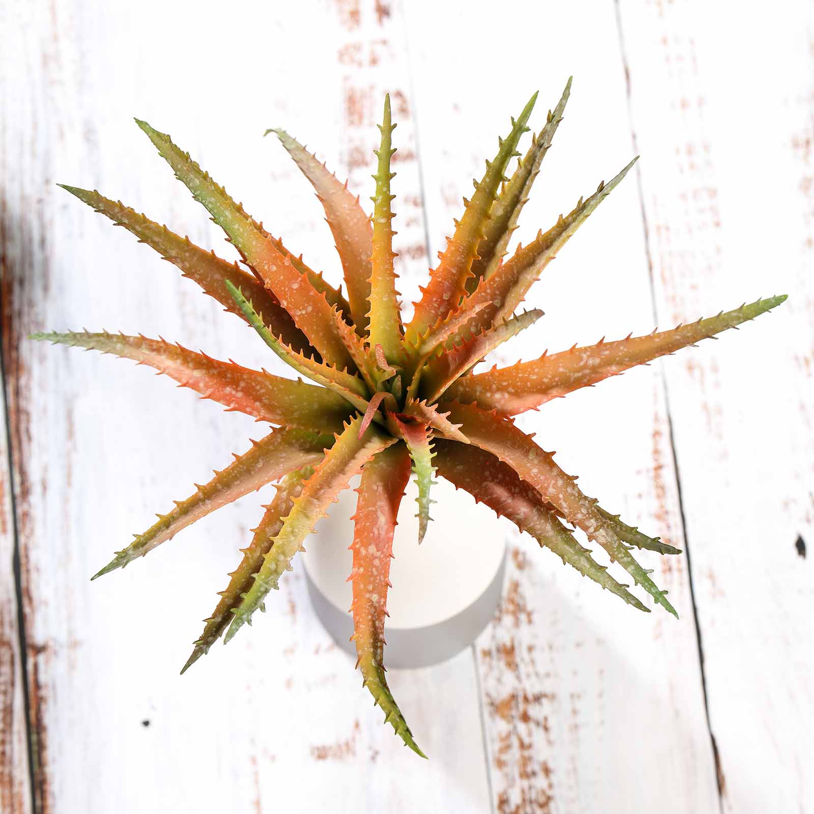 Colorful artificial aloe succulent plant arrangement.