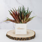 Red and green artificial aloe succulent plants in a decorative white pot.