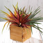Colorful artificial aloe succulent plants in a wooden pot.
