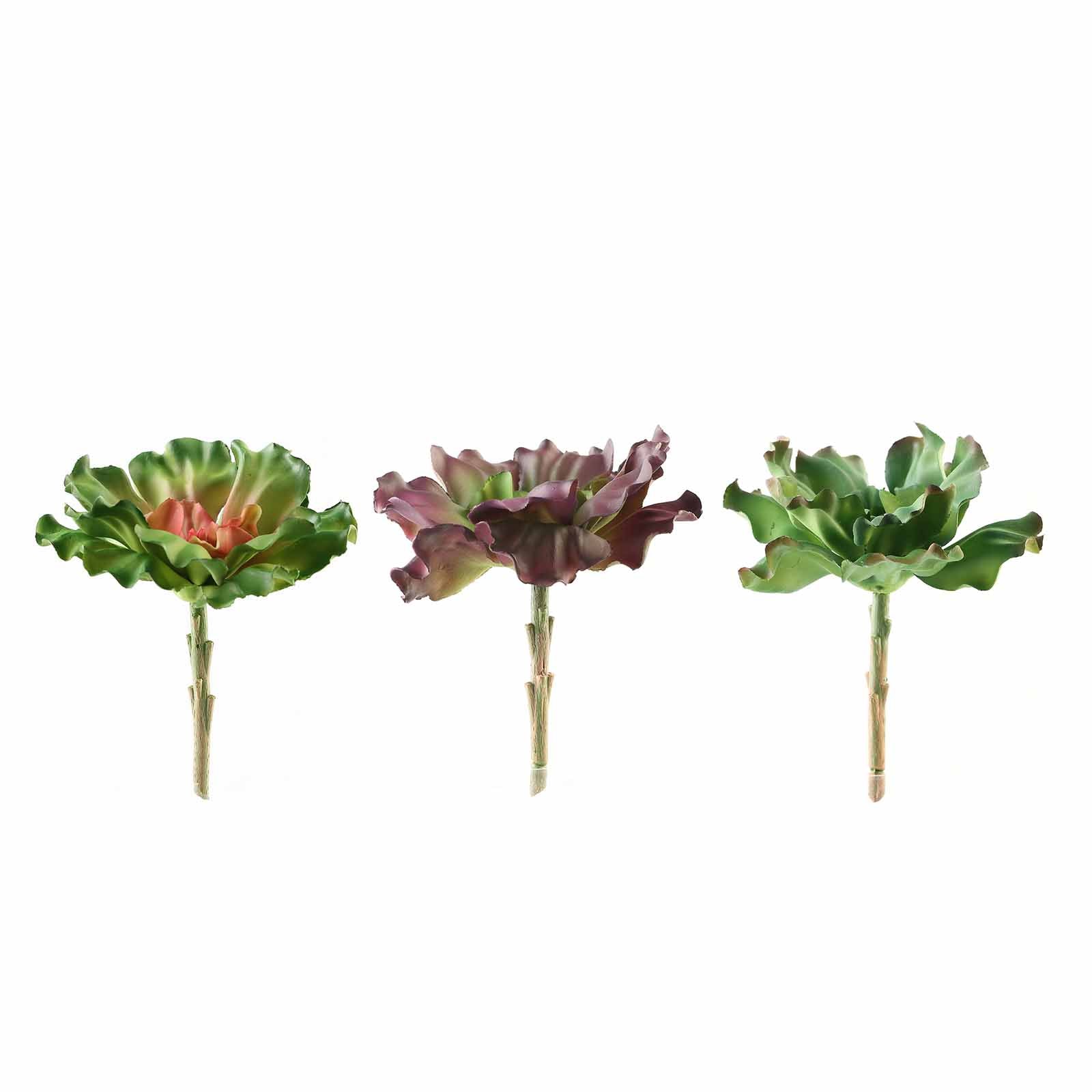 6 Inch Artificial Wavy Kalanchoe Decorative Succulent PVC Plants Pack of 3#whtbkgd