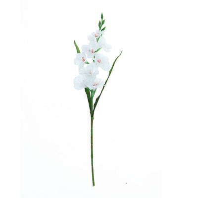 Lifelike Elegance with White Gladiolus