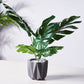Assorted green artificial silk tropical monstera leaf plants in a gray pot.