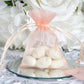 10 Pack 3"x4" Blush Organza Drawstring Wedding Party Favor Gift Bags