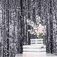 8ftx8ft Black Big Payette Sequin Photo Backdrop Curtain, Event Background Drapery Panel