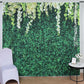 8ftx8ft Greenery Grass and Vines Print Vinyl Photography Booth Backdrop