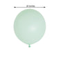 10 Pack | 18inch Matte Pastel Seafoam Helium or Air Latex Party Balloons
