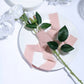 Blush chiffon linen ribbon roll on a white plate with roses and leaves.