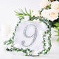 Silver 6 Inch Decorative Rhinestone Number 9 Stickers DIY Crafts