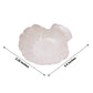 Biodegradable mini sea shell dessert plate in natural wheat straw color.