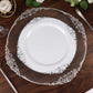 10 Inch Disposable Vintage White and Silver Leaf Embossed Baroque Style Round Plastic Plates 10 Pack