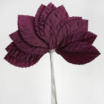 Versatile Uses for Eggplant Burning Passion Leaves