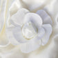 White real touch artificial foam rose on satin fabric.