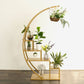 Gold 4-Tier Metal 4.5 Feet Half Moon Plant Rack With Hanging Hooks