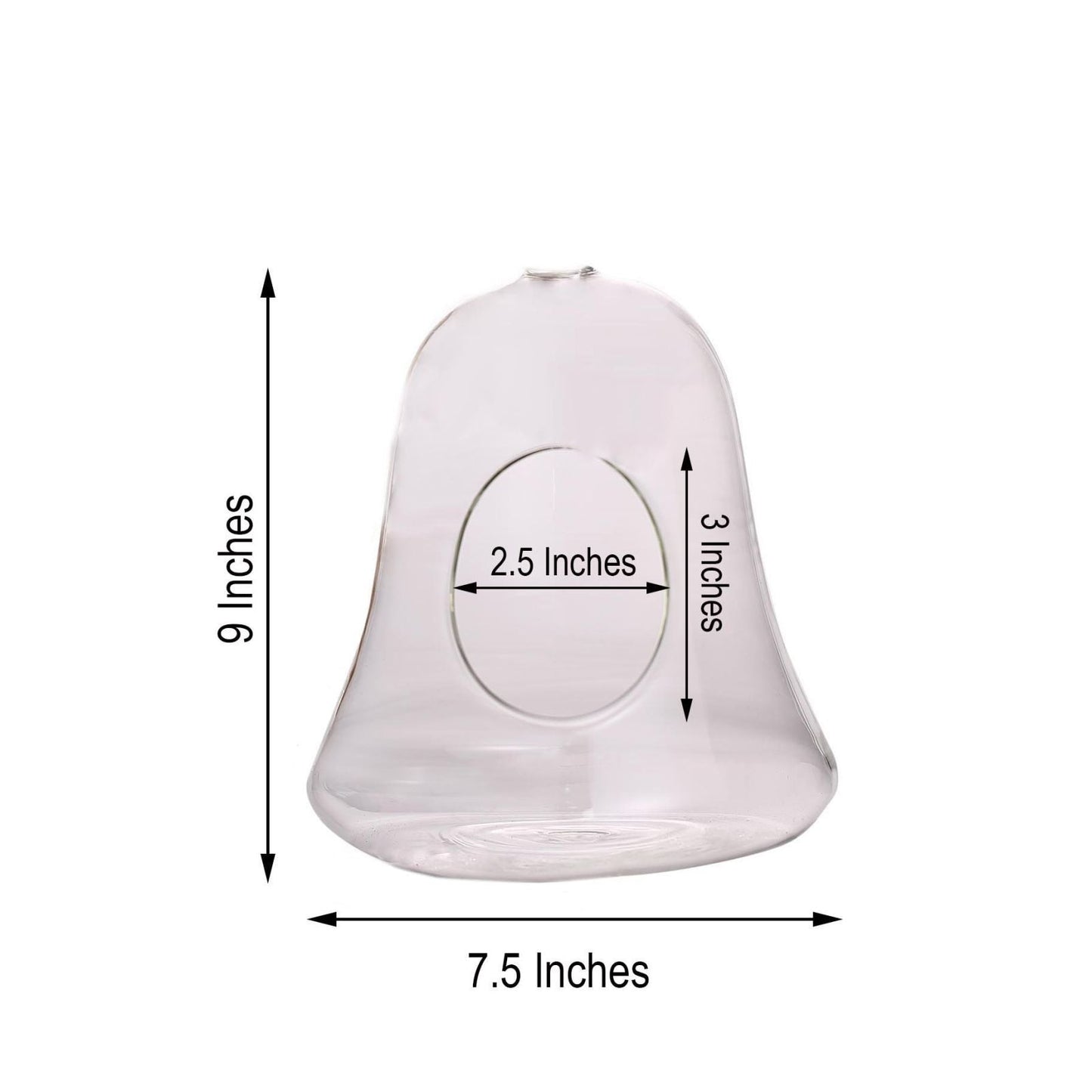 Pack of 2 Hanging Air Plant Glass Terrarium Bell Shaped with Twine Rope 9 Inch