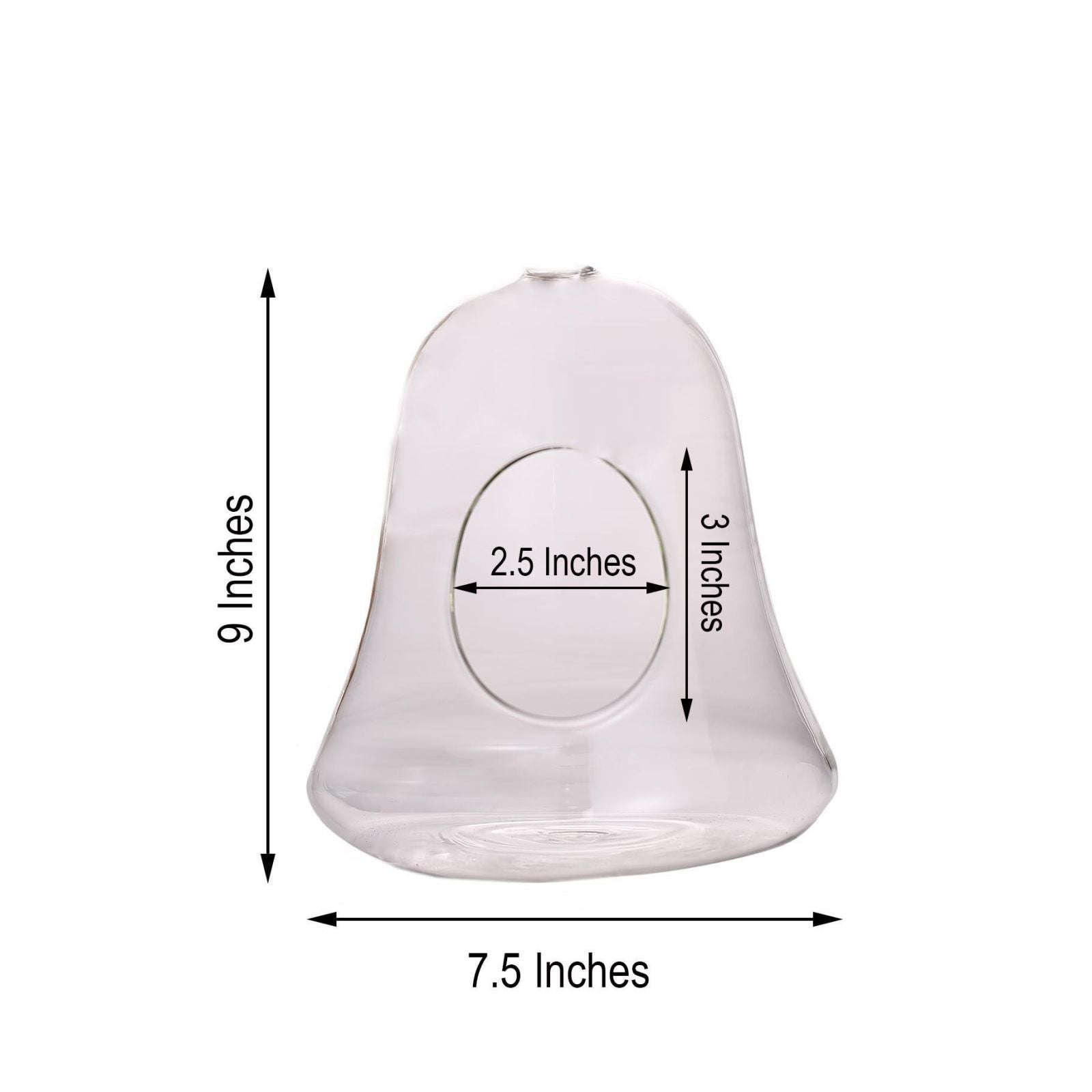 Pack of 2 Hanging Air Plant Glass Terrarium Bell Shaped with Twine Rope 9 Inch