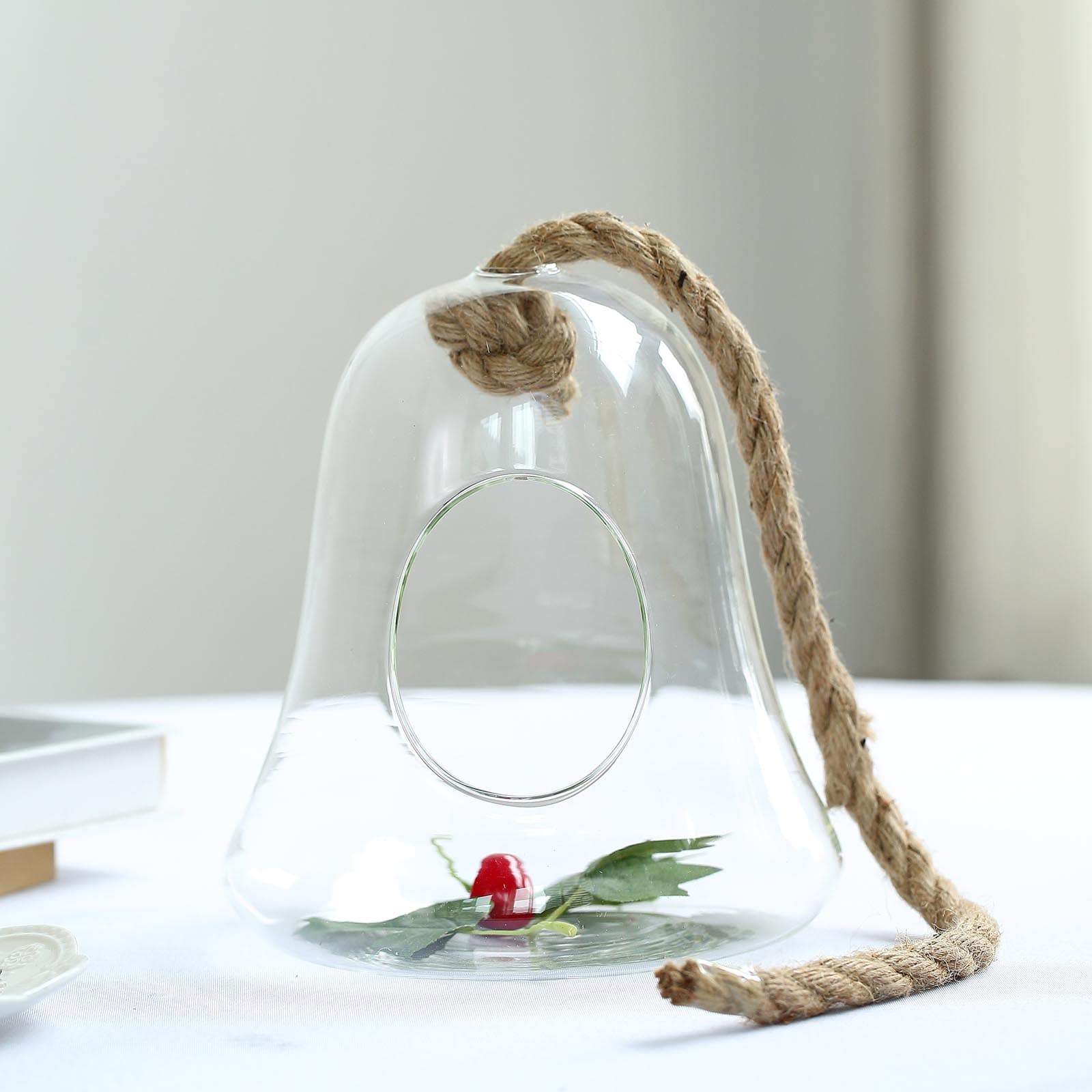 air plant hanging terrarium 12-pk 9in Glass Bell Air Plant Terrarium