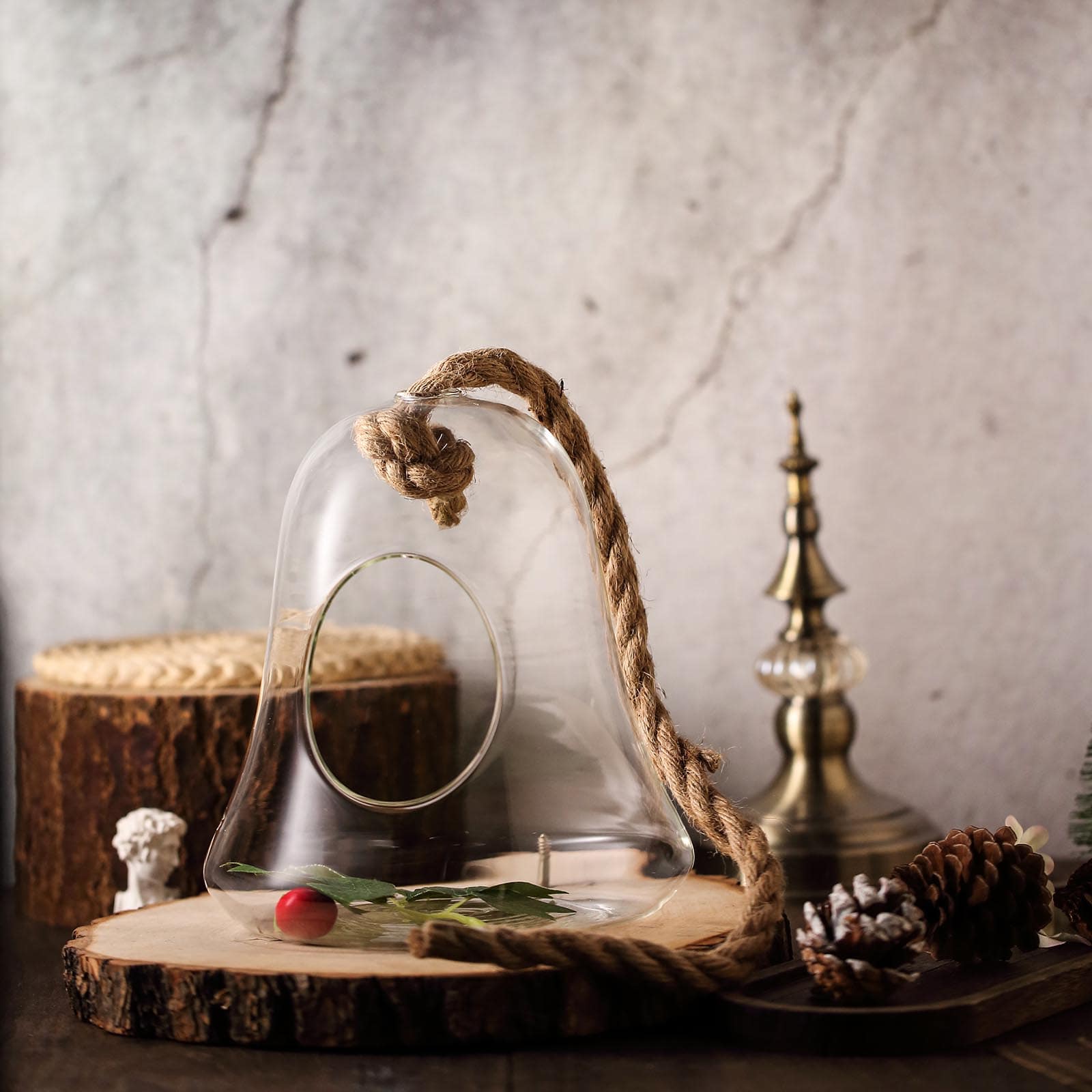 9 Inch Hanging Bell Shaped Terrarium Air Plant Glass with Twine Rope 2 Pack