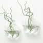 3 Pack Hanging Terrariums Flower Shaped Glass Wall Mounted Vase Planters