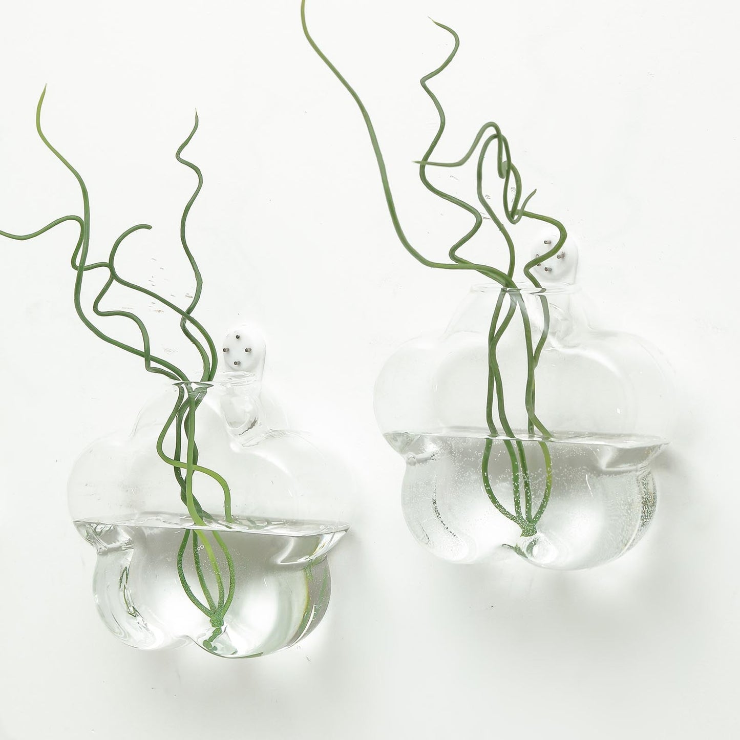 3 Pack Hanging Terrariums Flower Shaped Glass Wall Mounted Vase Planters