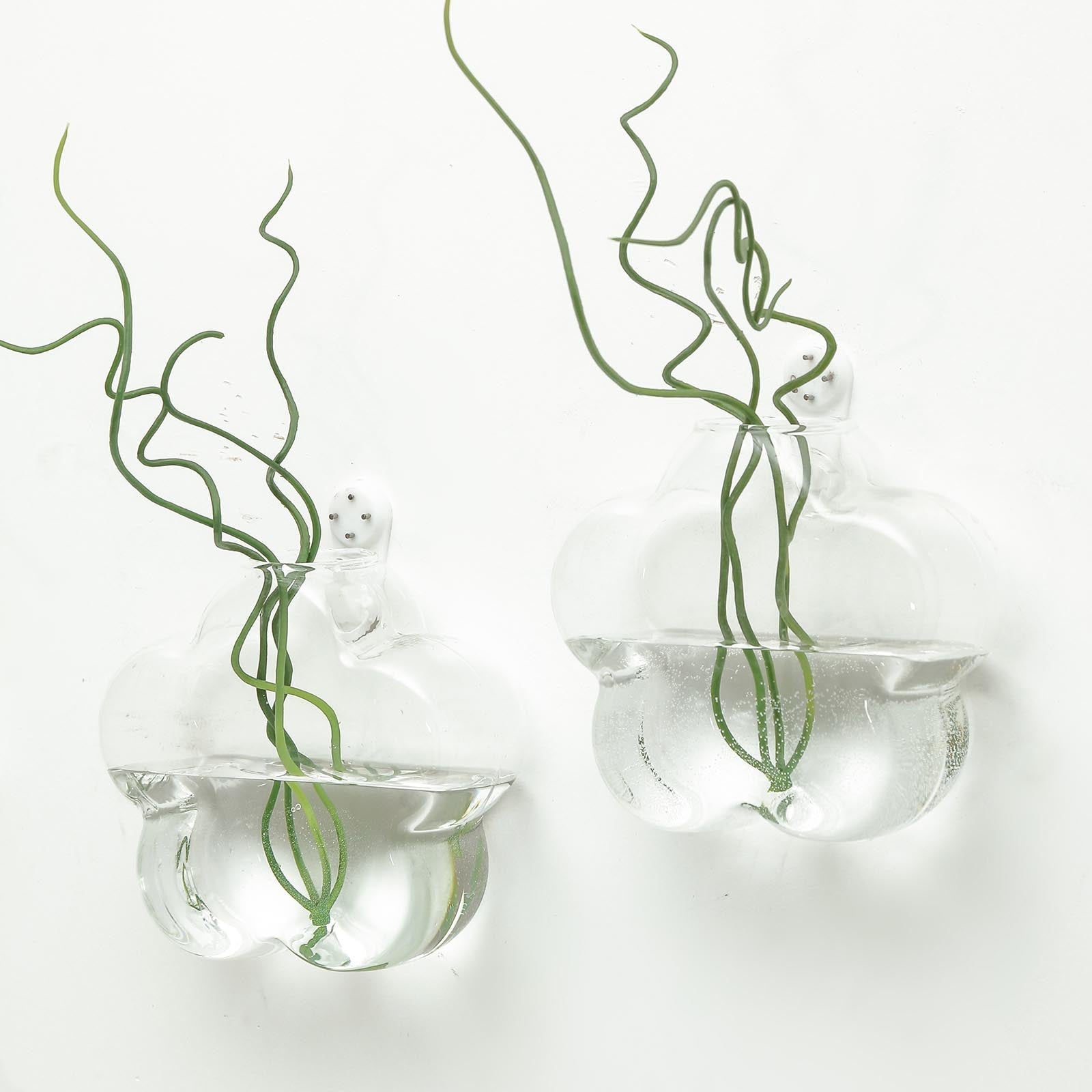 3 Pack Hanging Terrariums Flower Shaped Glass Wall Mounted Vase Planters