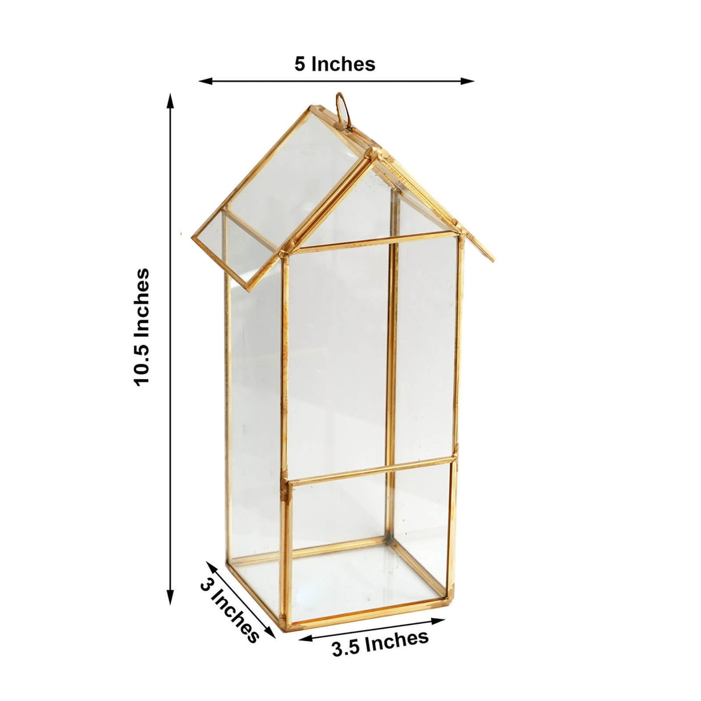 Gold metal geometric glass terrarium for air plants holder.