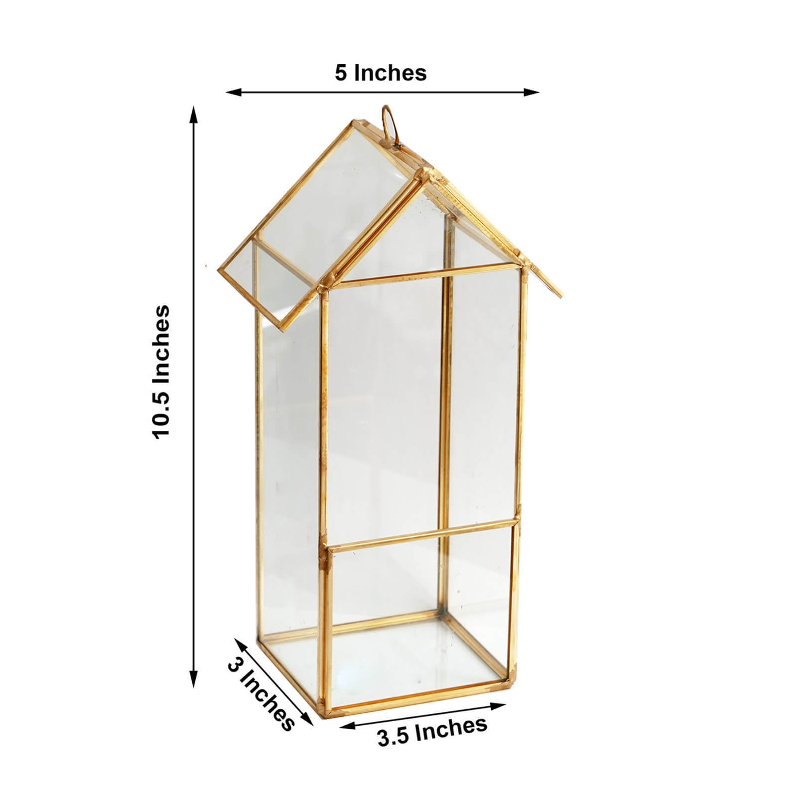 Gold metal geometric glass terrarium for air plants holder.