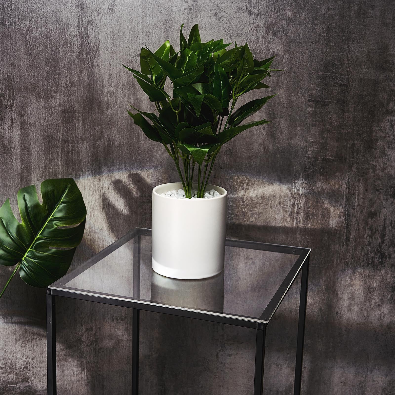 Clear acrylic square plexiglass sheets on a table with a plant.