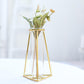 Pack of 2 Triangle Gold Metal Frame 6 Inch Geometric Test Tube Bud Vases