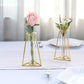6 Inch Triangle Gold Metal Frame Mini Geometric Test Tube Bud Vases 2 Pack