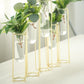 Set of 5 | 12inch Conjoined Gold Frame Test Tube Hydroponic Vases, Geometric Wedding Centerpieces