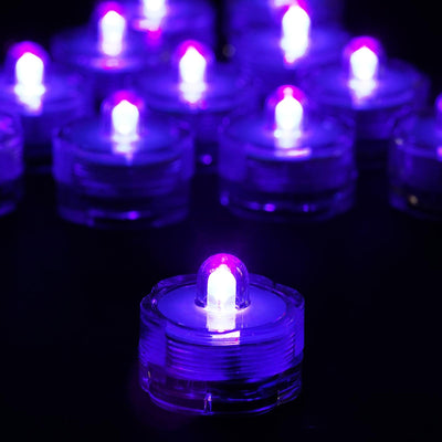 Enchanting Purple Glow for Any Occasion