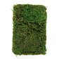 Green preserved natural reindeer moss for DIY craft decoration.