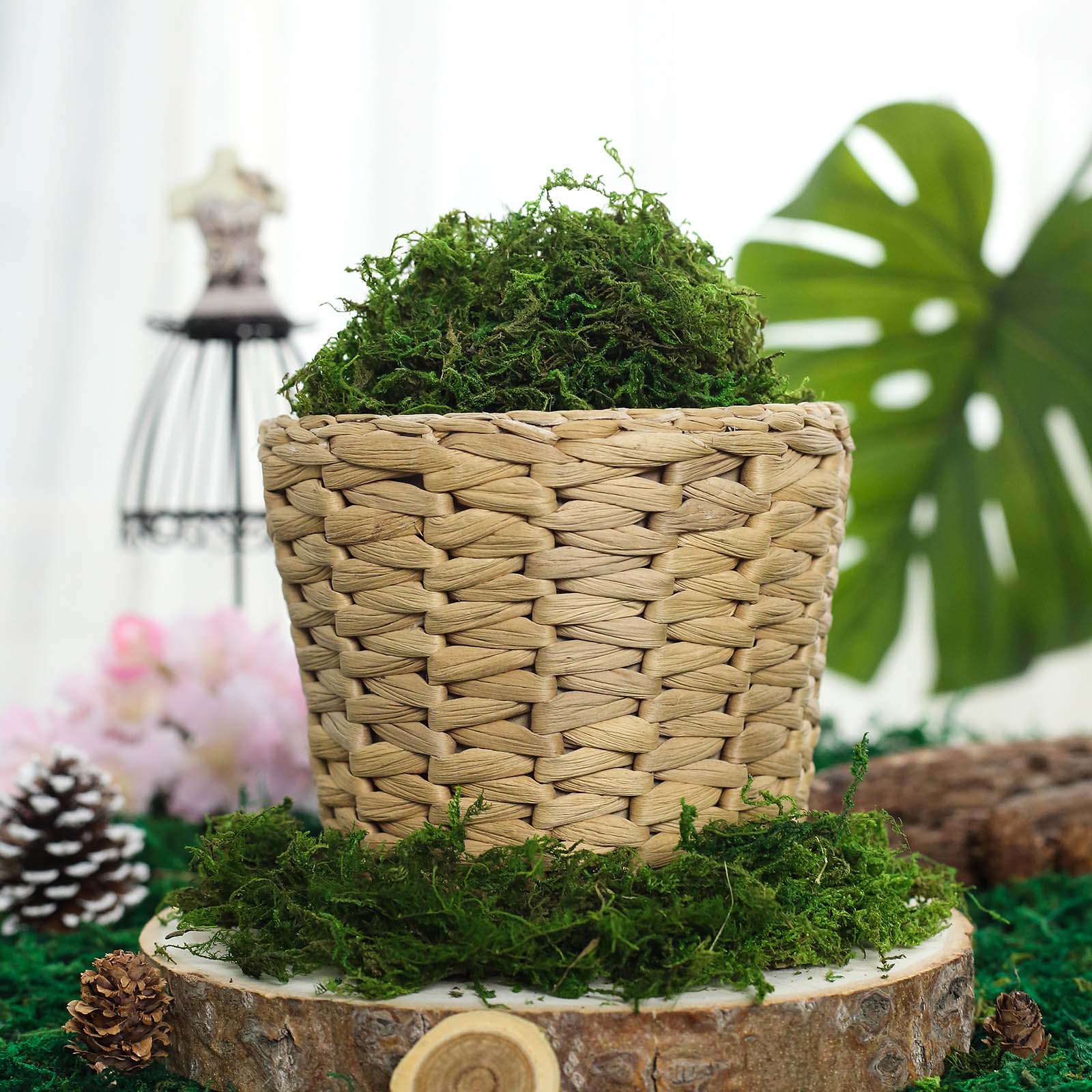 Green preserved natural reindeer moss grass in a decorative basket.