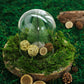 Green preserved natural reindeer moss grass for DIY craft decoration.