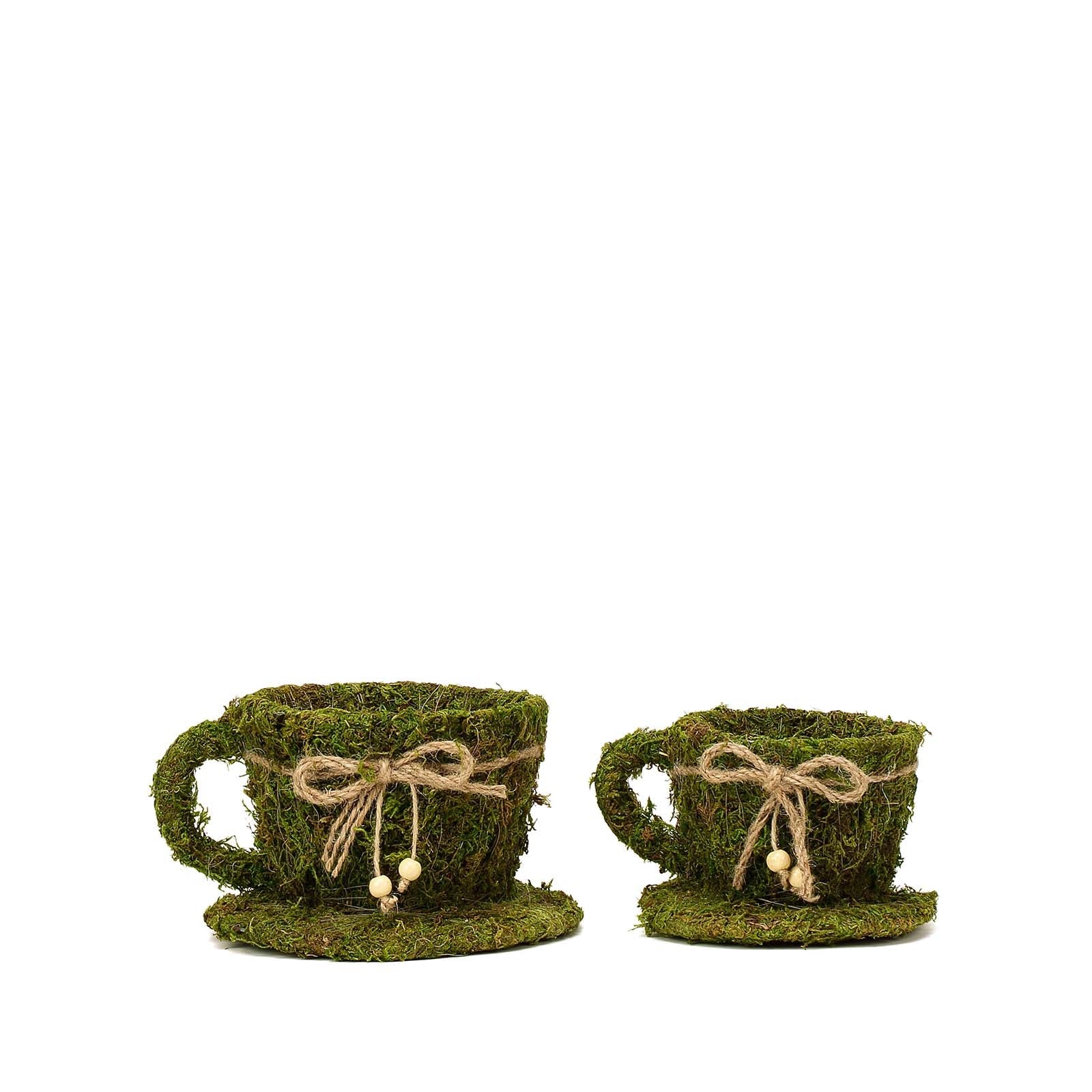 Green teacup planter boxes with twine, preserved moss, set of 2.