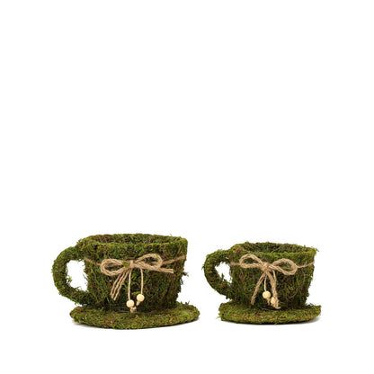 Green teacup planter boxes with twine, preserved moss, set of 2.