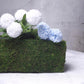 Green rectangular moss planter with blue and white flowers.
